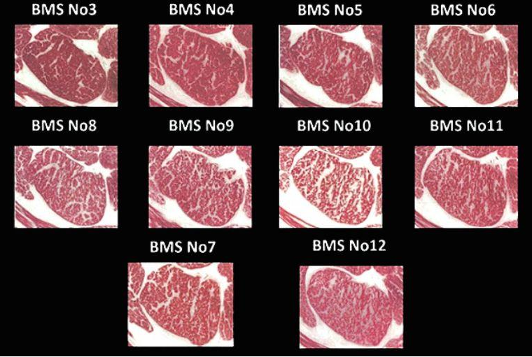 Thương hiệu Wagyu